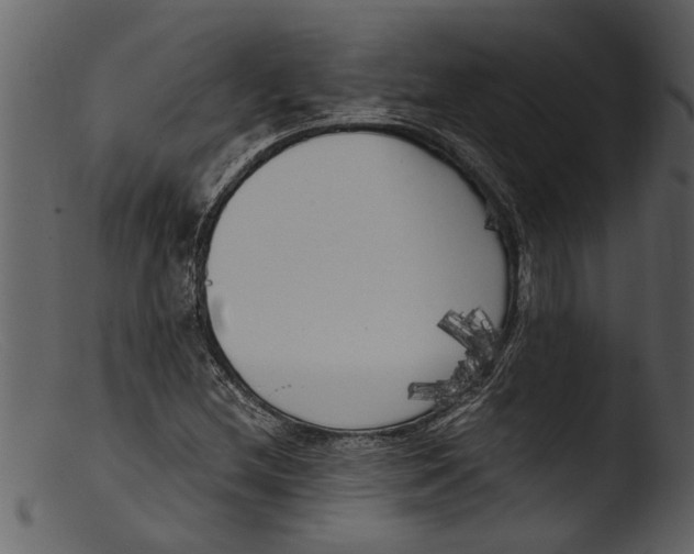 X0000103311212200809261329