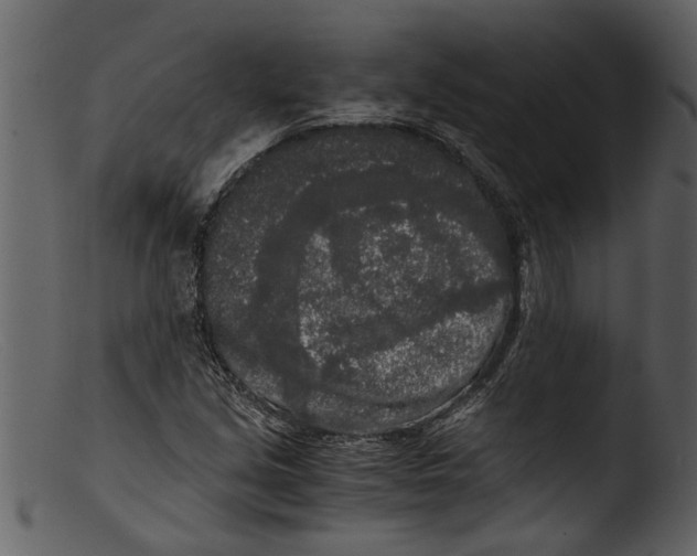 X0000103311213200809261329