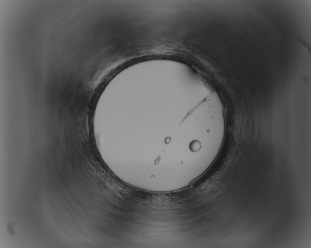 X0000103311214200809261329