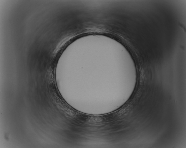 X0000103311215200809261329