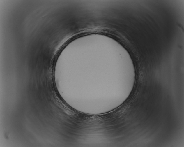 X0000103311216200809261329