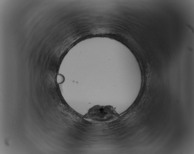 X0000103311217200809261329