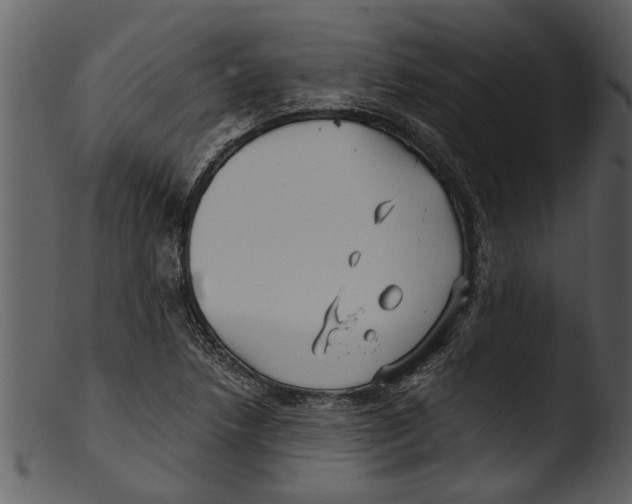 X0000103311218200809261329