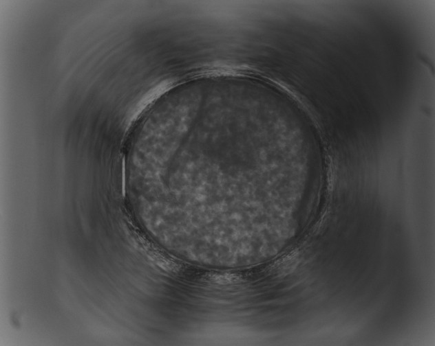 X0000103311219200809261329