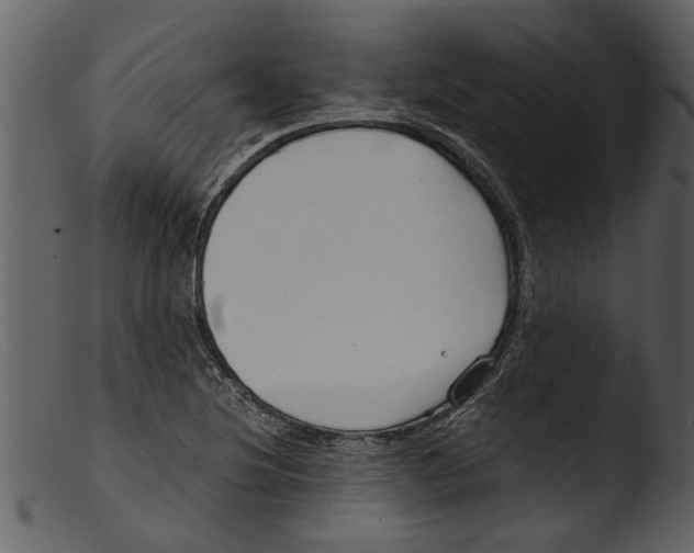 X0000103311220200809261329