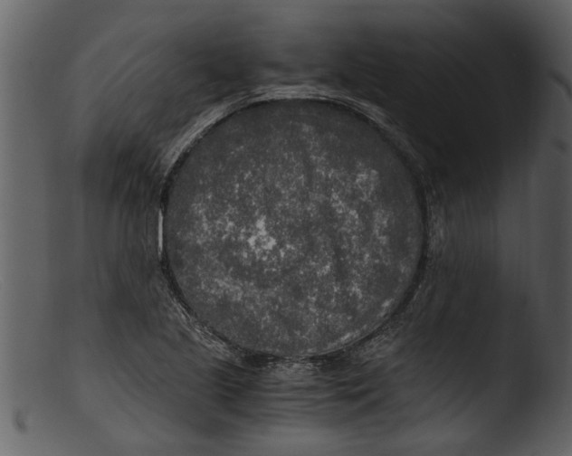 X0000103311221200809261329