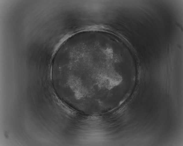 X0000103311224200809261329