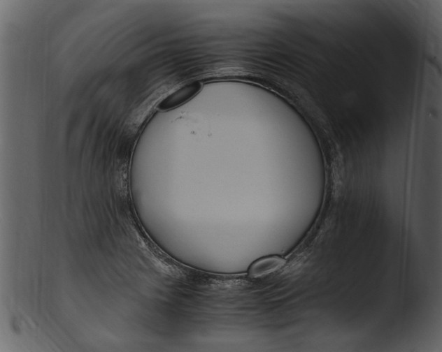 X0000103311225200809261329