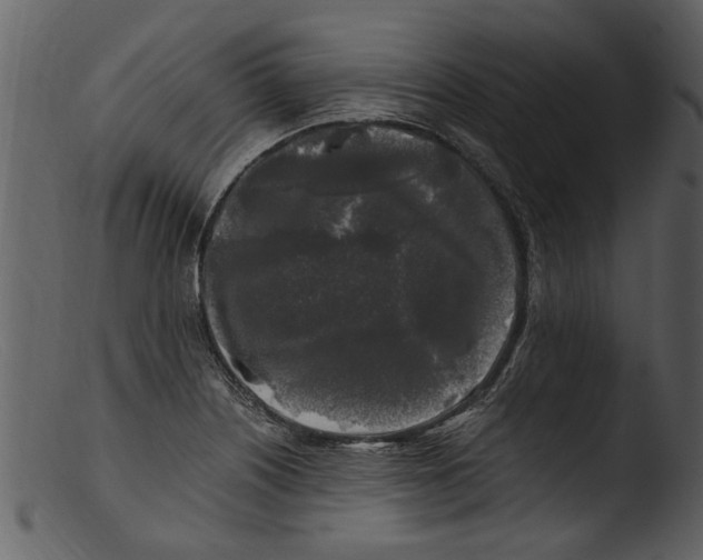 X0000103311226200809261329