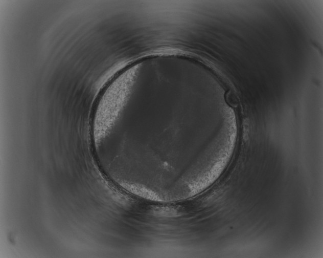 X0000103311229200809261329