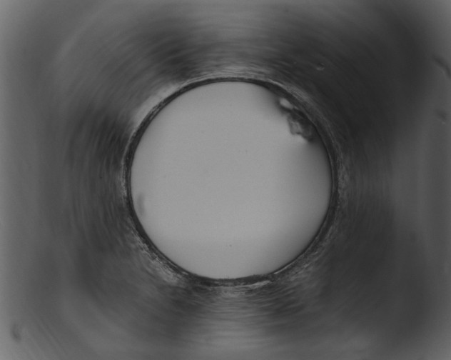 X0000103311230200809261329