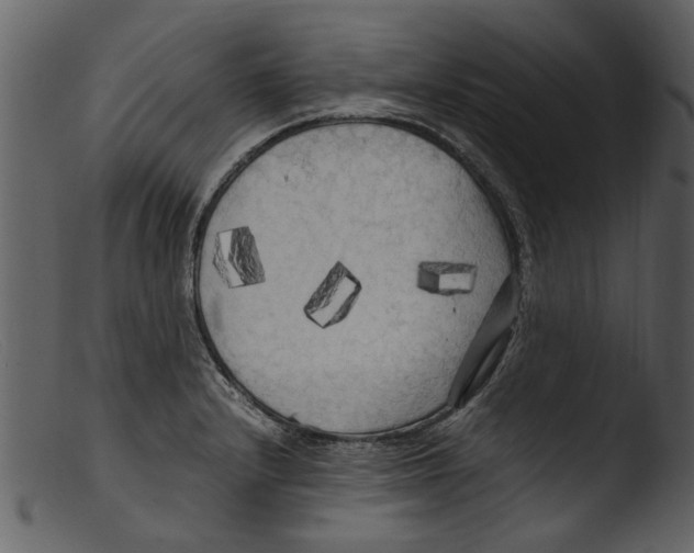 X0000103311232200809261329