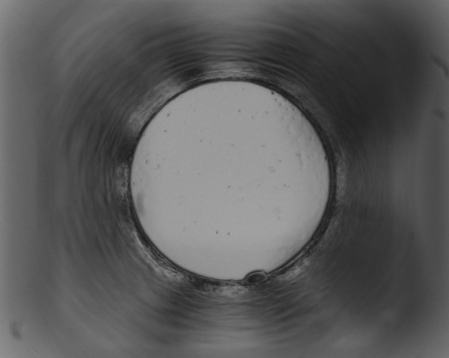 X0000103311233200809261329