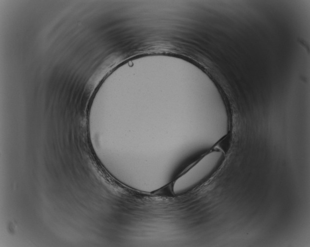 X0000103311234200809261329