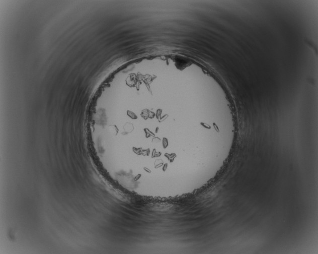 X0000103311235200809261329
