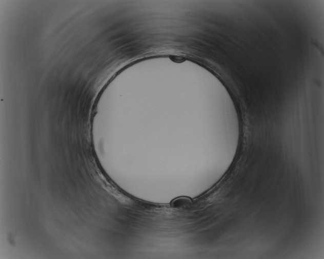 X0000103311236200809261329