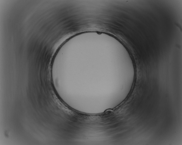 X0000103311238200809261329