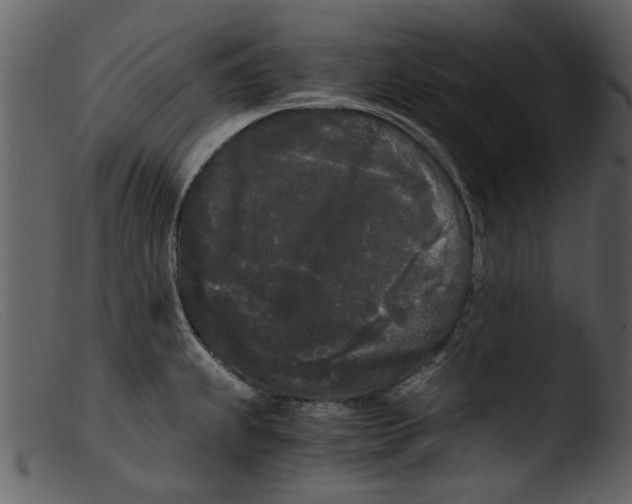 X0000103311239200809261329