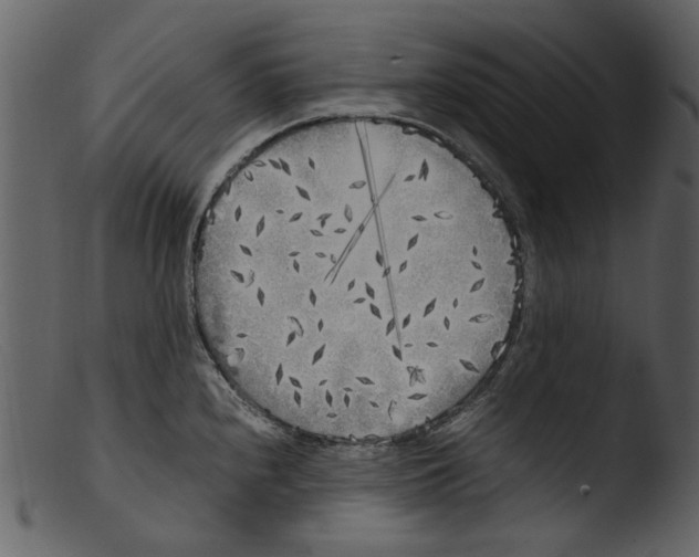X0000103311240200809261329