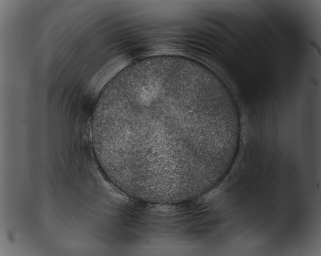 X0000103311241200809261329