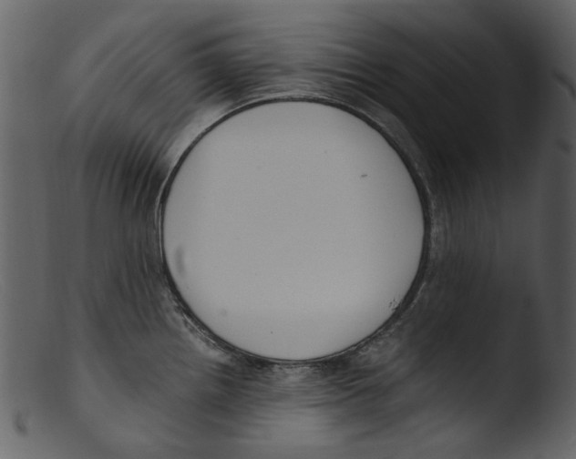 X0000103311242200809261329