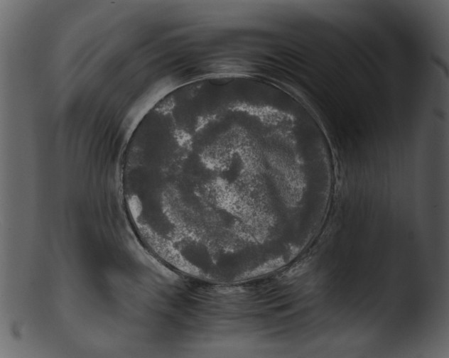 X0000103311243200809261329