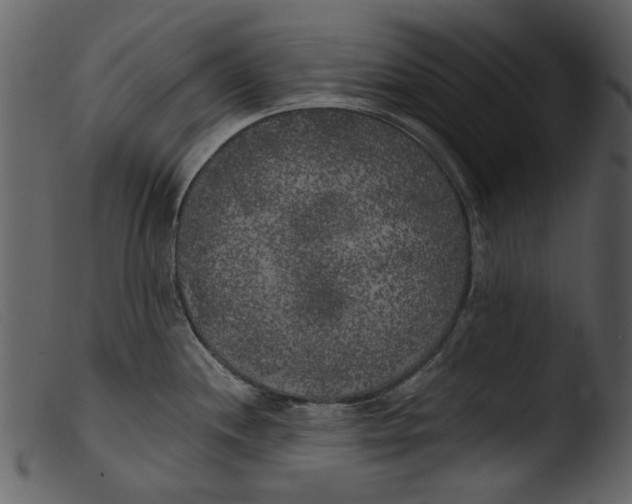 X0000103311244200809261329