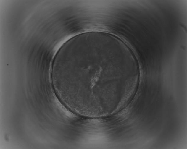 X0000103311246200809261329