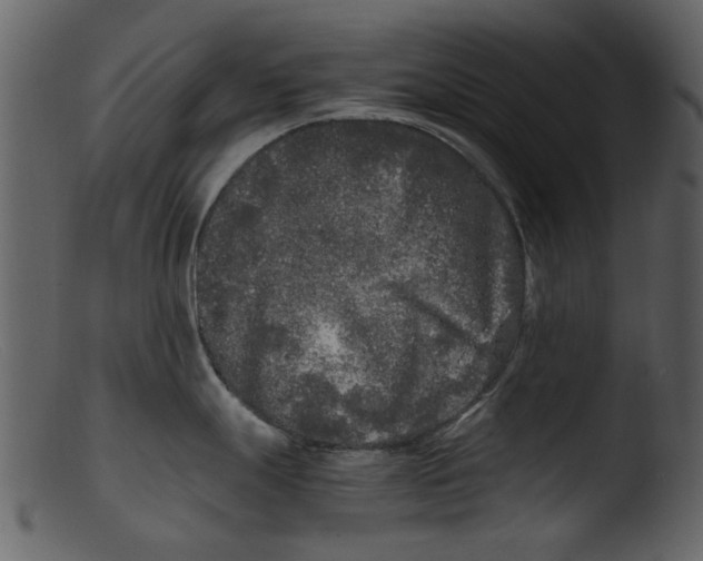 X0000103311247200809261329