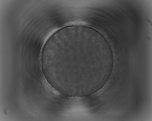 X0000103311248200809261329