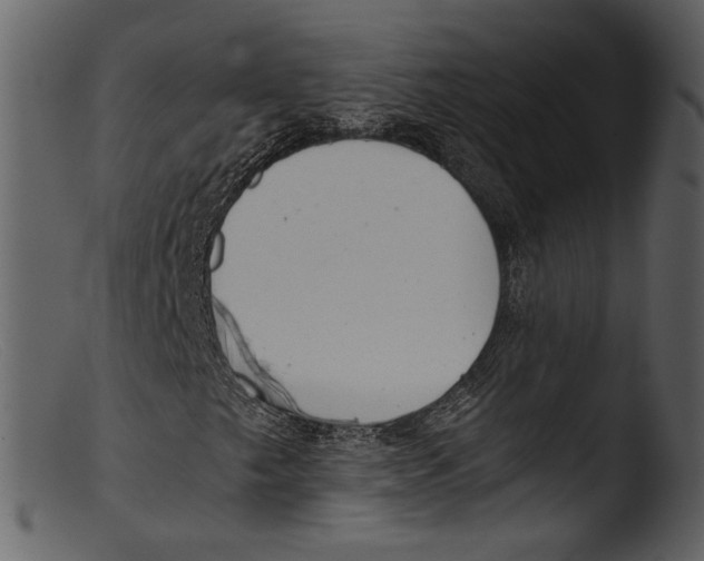 X0000103311249200809261329