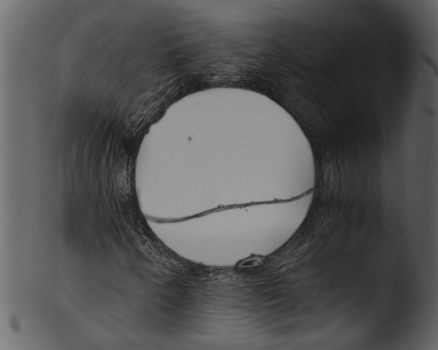 X0000103311250200809261329