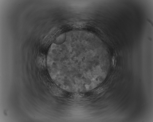 X0000103311251200809261329