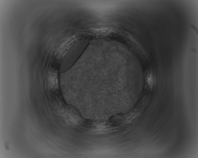 X0000103311252200809261329