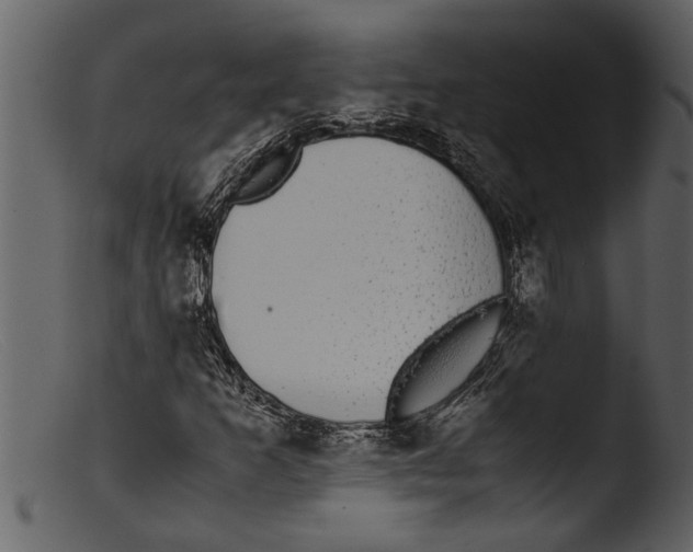 X0000103311253200809261329