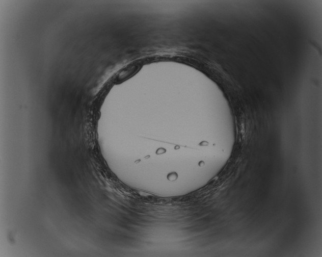 X0000103311256200809261328