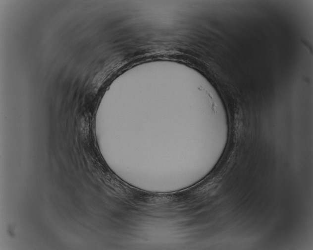 X0000103311257200809261328