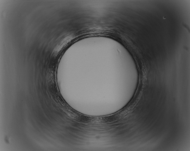 X0000103311259200809261328