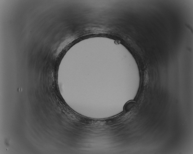 X0000103311261200809261328