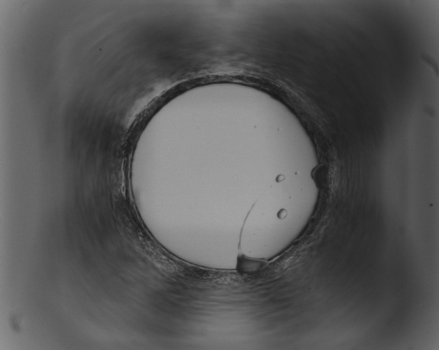 X0000103311262200809261328