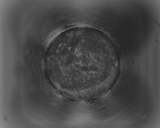 X0000103311263200809261328