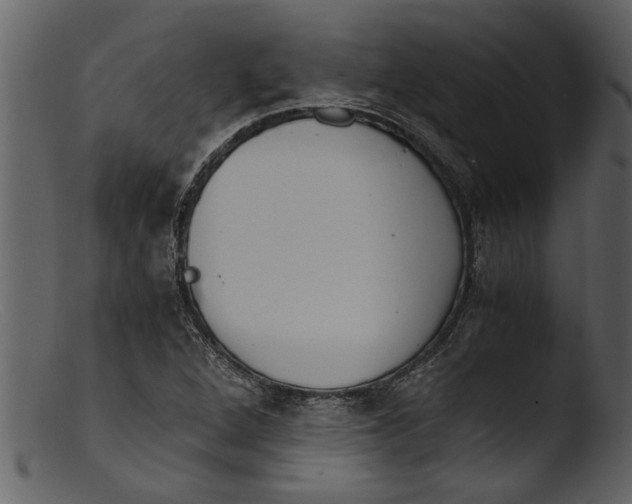 X0000103311264200809261328