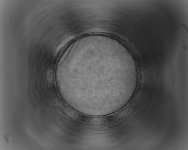 X0000103311266200809261328