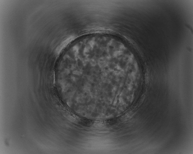 X0000103311267200809261328