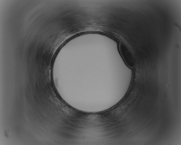 X0000103311268200809261328