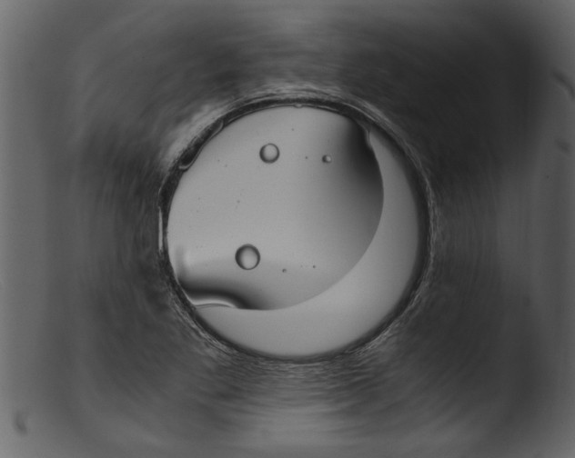 X0000103311269200809261328