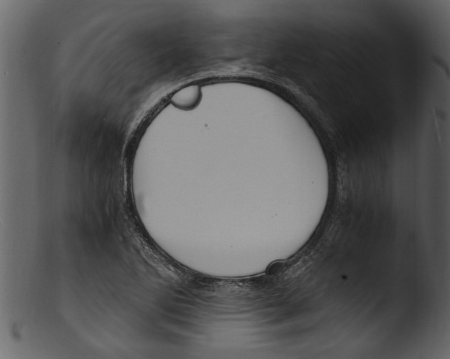 X0000103311270200809261328