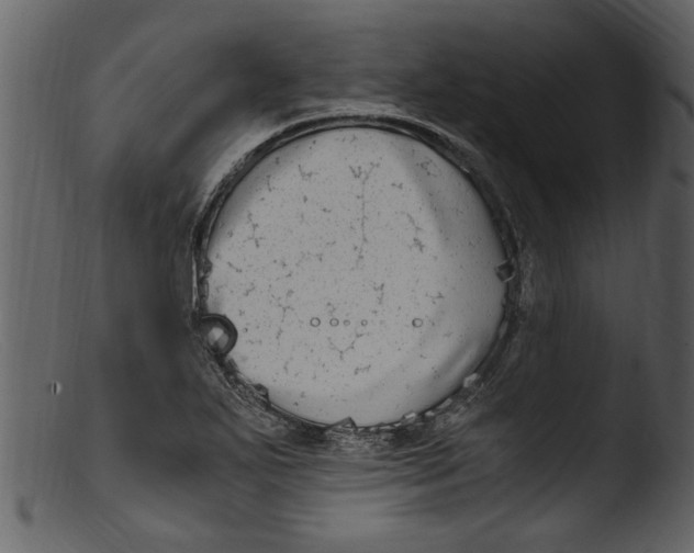 X0000103311271200809261328