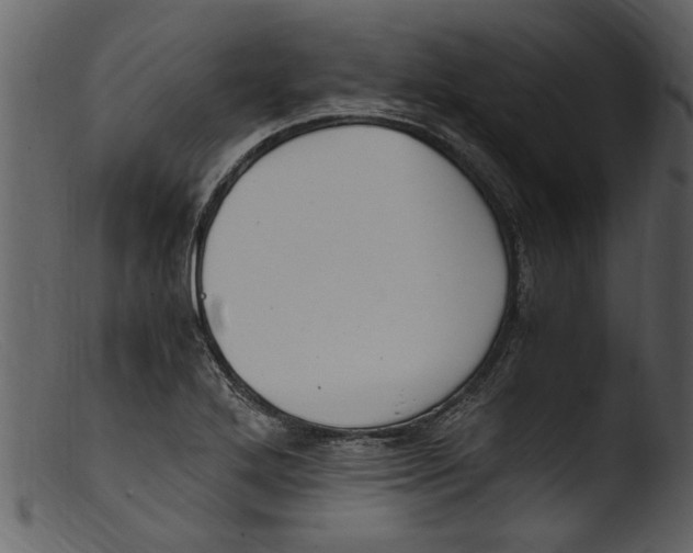 X0000103311272200809261328