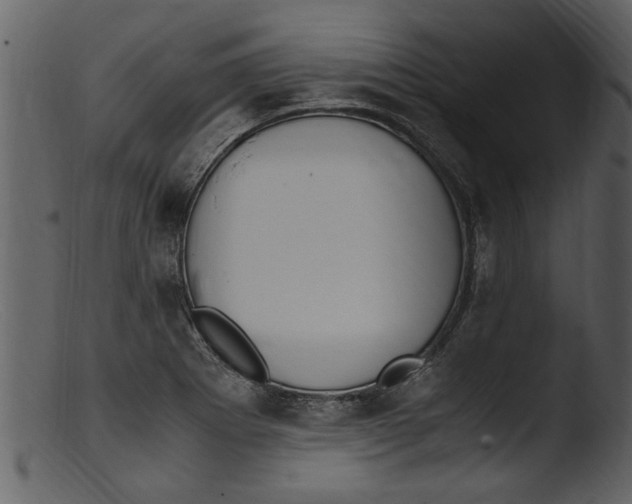 X0000103311273200809261328